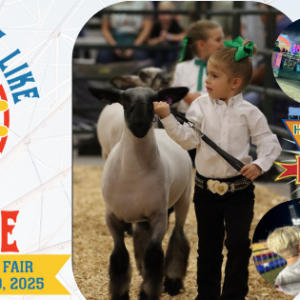10/30-11/09 - Hillsborough County Fair