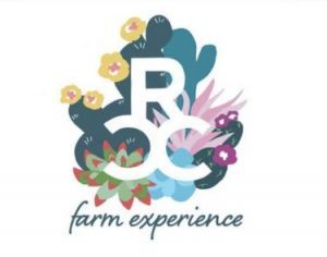 RCC Farm Experience Thanksgiving Camp