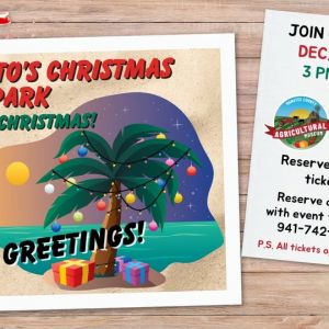 12/05-06 - Palmetto's Christmas in the Park