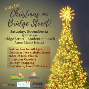 11/22- Christmas on Bridge Street