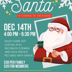 12/14- Cookies and Playdate with Santa at The Flock SRQ
