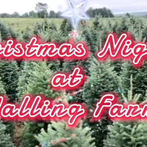 Walling Farms Christmas Nights