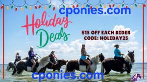 C Ponies Beach Horseback Excursions Holiday Deal