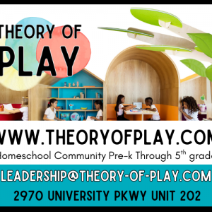 Theory Of Play Summer Camp