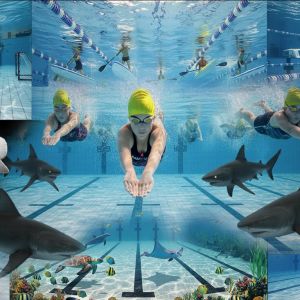Sarasota Sharks Summer Camp