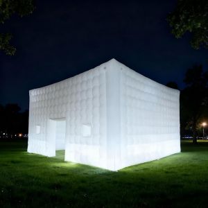 White Cube Experience, The