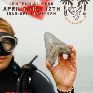 04/11-12 - Venice Sharks Tooth Festival