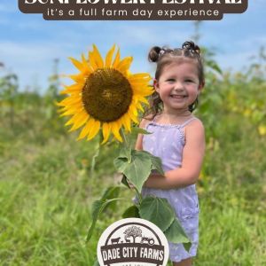 04/11 - 05/10 Sunflower Festival at Dade City Farms