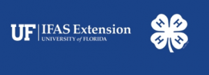 UF IFAS Extension - 4-H Cloverleaf Overnight Summer Camps