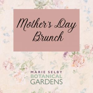 05/10 - Mother's Day Brunch at Selby Gardens Downtown Campus