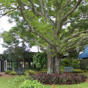 Sarasota Garden Club