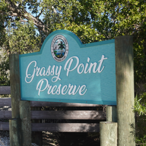 Grassy Point Preserve