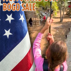 TreeUmph! Memorial Day Bogo Sale