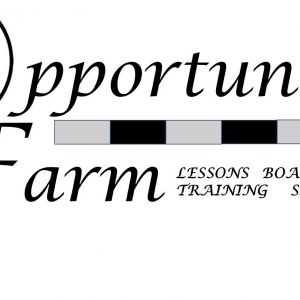 Opportunity Farm Bradenton - Homeschool Horsemanship Program