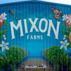 Mixon Farms Markets
