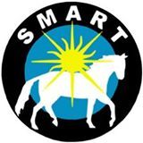 Sarasota Manatee Association for Riding Therapy Adventures in Learning