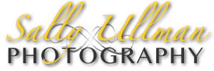 Sally Ullman Photography