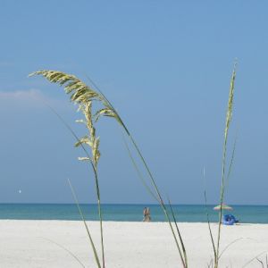 Siesta Key Beach Access Points