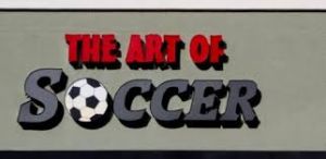 Art of Soccer, The