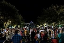 Poinsettia Festival