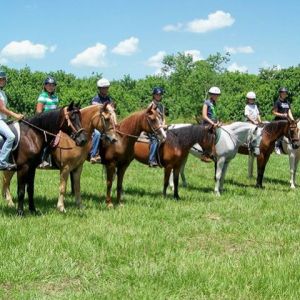 Rosaire's Riding Academy and Pony Rides - Lessons