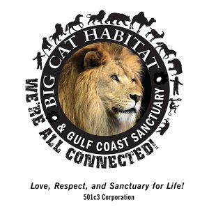 Big Cat Habitat and Gulf Coast Sanctuary