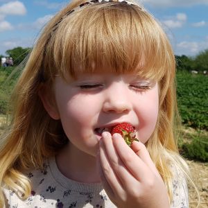 Visit a U-Pick Farm