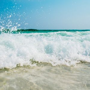 Hit the Beach