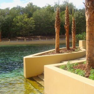 Salt Springs Recreation Area