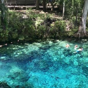 Fanning Springs State Park