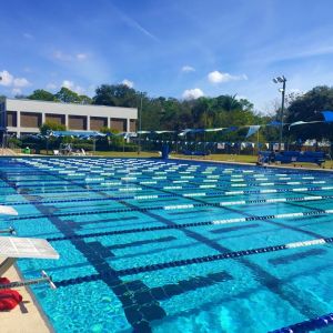 Arlington Park and Aquatic Complex Swim Lessons