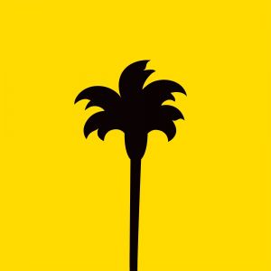 California Pizza Kitchen Fundraising