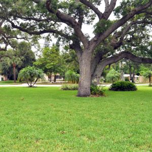 San Remo Park