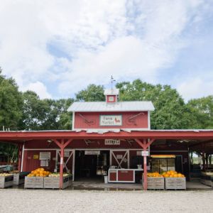 Hunsader Farms Birthday Parties