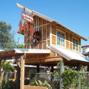 Fish Hole Miniature Golf Birthday Parties